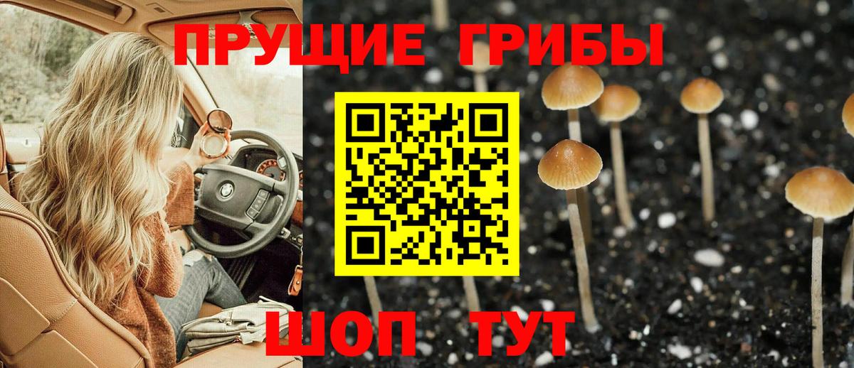 Галлюциногенные грибы MAGIC MUSHROOMS Астрахань
