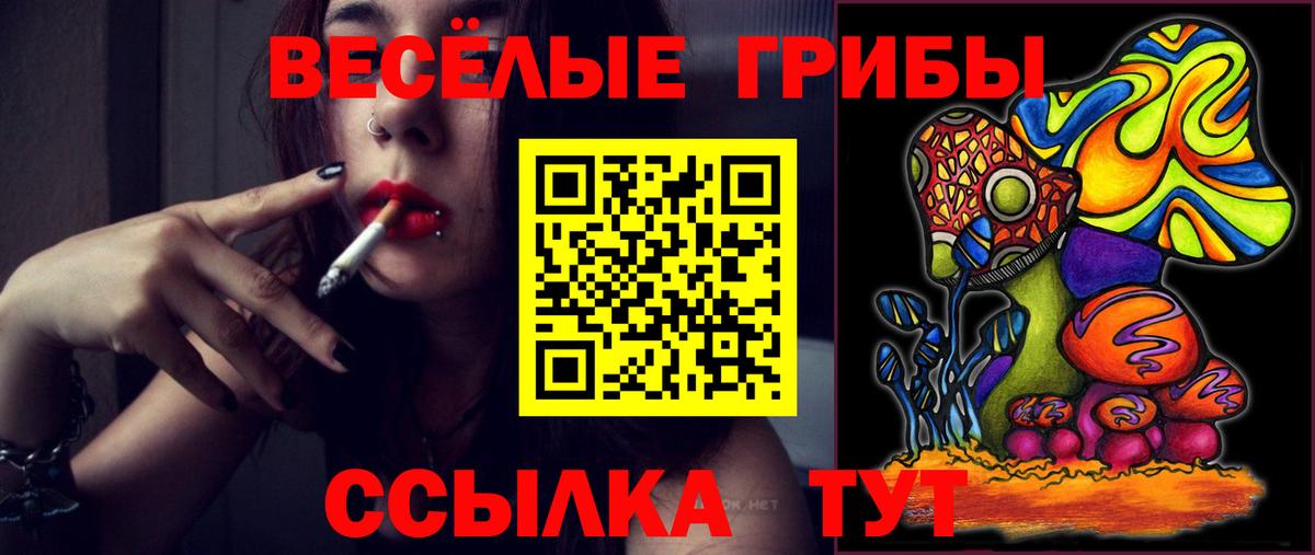 Галлюциногенные грибы MAGIC MUSHROOMS  Астрахань  Галлюциногенные грибы мицелий 