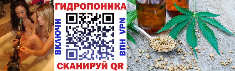 где купить наркоту  Астрахань  МАРИХУАНА VHQ 