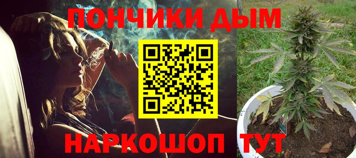 Канабис конопля Астрахань